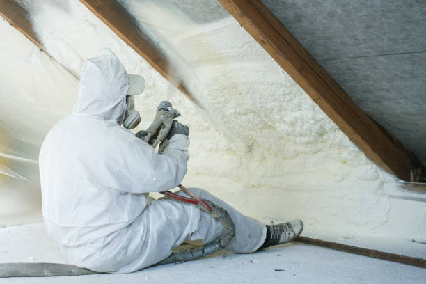 Best Attic Insulation Installation in Wildomar, CA